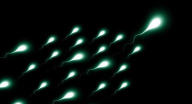 En az 550 çocuğun sperm donörü olan adamın, sperm bağışlaması yasaklandı