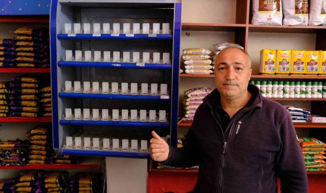 Erzincan'da kar maskeli hırsızlık