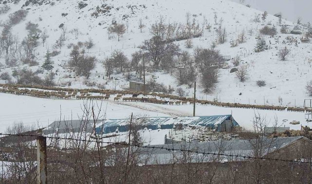 Erzincan'ın köylerinde kış mesaisi sürüyor