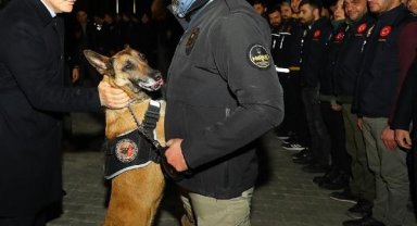 Erzurum ve Nevşehir'de 'Kökünü Kurutma' operasyonlarında 133 gözaltı