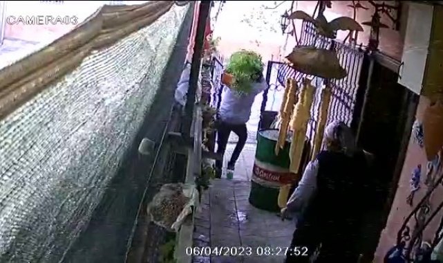 Ev sahibinin gözü önünde girdiği bahçeden saksıyı sırtlayıp götürdü