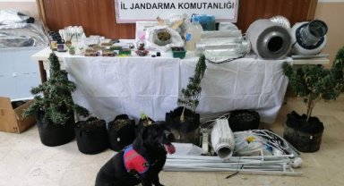 Evlerine iklimlendirme sistemi kurup uyuşturucu üreten 3 şüpheli gözaltına