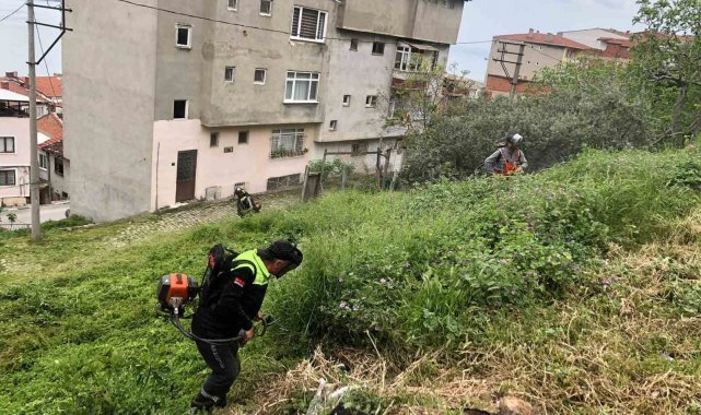 Gemlik'te bahar mesaisi