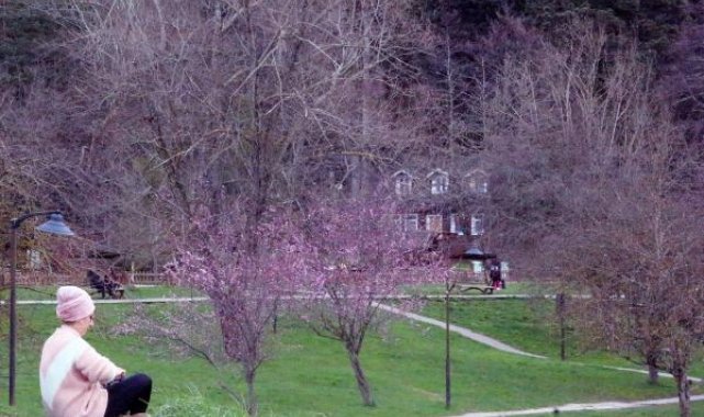 Gölcük Tabiat Parkı'nda bahar renkleri