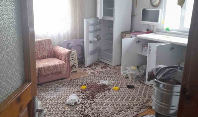 Gümüşhane'de ayılar yayla evlerine dadandı
