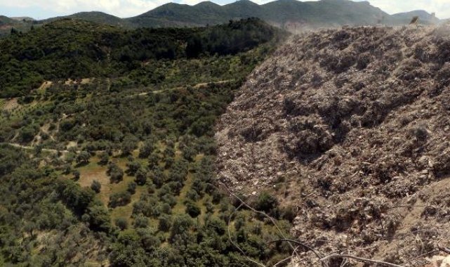 Hatay'da ormana ve zeytinliğe dökülen molozlar ağaçlara zarar veriyor