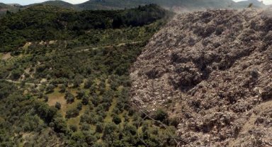 Hatay'da ormana ve zeytinliğe dökülen molozlar ağaçlara zarar veriyor