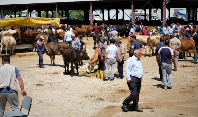 Hayvan hareketleri kısıtlaması 28 Nisan'da son buluyor