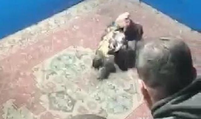 Hayvanları koruma derneğine horoz dövüşü baskını