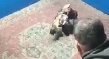 Hayvanları koruma derneğine horoz dövüşü baskını