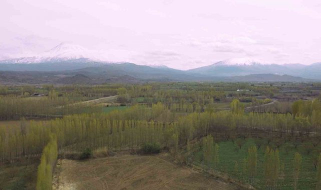 Iğdır'da kış ve bahar ayı bir arada