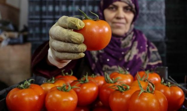 İhracatın kralı domates ve biber oldu