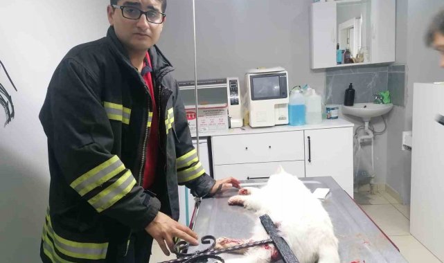 İtfaiye kurtardığı kediyi veteriner kliniğine götürdü