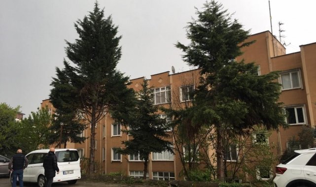 İzmit Belediyesi tehlike arz eden ağaçlara müdahale edecek