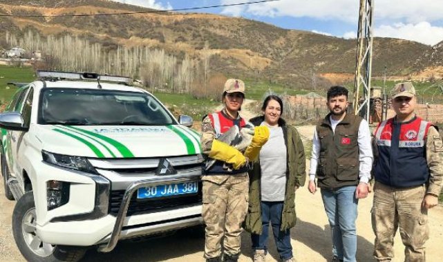 Jandarma, yol kenarında yaralı halde gri balıkçıl türü kuş buldu
