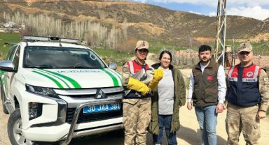 Jandarma, yol kenarında yaralı halde gri balıkçıl türü kuş buldu
