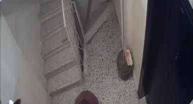 Kadıköy'de ev sahibinin kardeşinden kiracıya 'evden çık' dayağı; o anlar kamerada