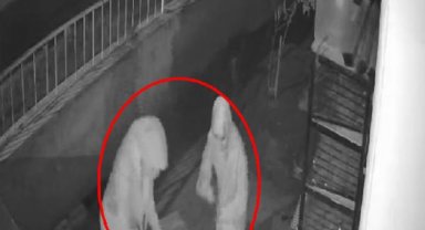 Kadınlar, kümesteki tavukları kutuya koyup çaldı; o anlar kamerada