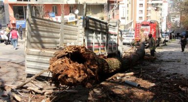 Kağıthane'de ağaç, anne ve çocuğunun içinde olduğu kamyonetin üzerine devrildi