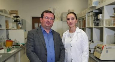 Kanseri can evinde vuracak çalışma: Tedaviyi 'hastada uygular gibi' önce laboratuvarda deniyorlar