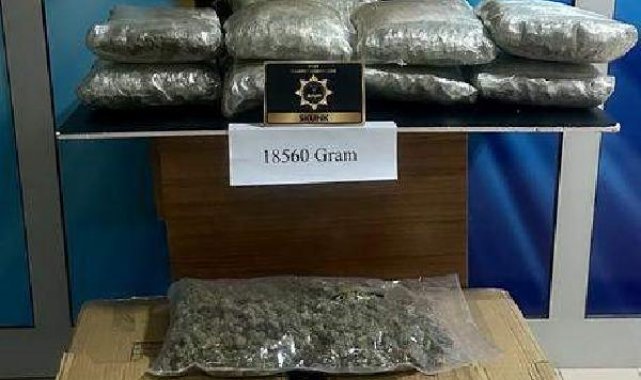 Kargo şirketine baskında 18 kilo 560 gram skunk ele geçirildi