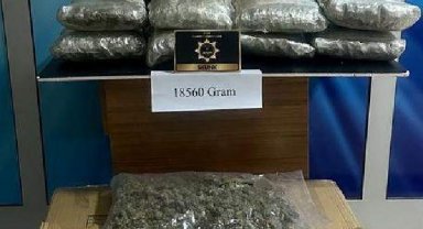 Kargo şirketine baskında 18 kilo 560 gram skunk ele geçirildi