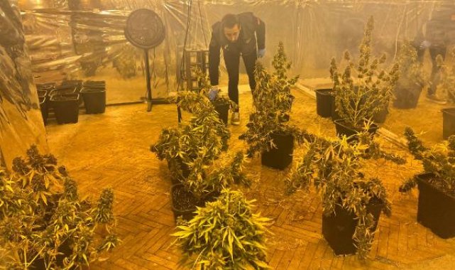 Kartal'da 5 katlı iş merkezinin terasındaki uyuşturucu serasına operasyon