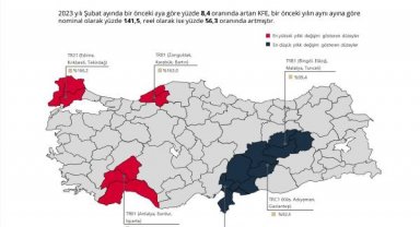 Konut Fiyat Endeksi, şubatta yüzde 8,4 arttı