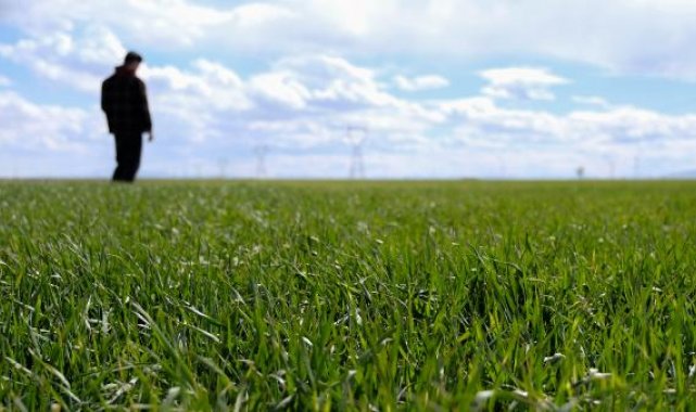 Konya Ovası'nı mart ayı yağışları kurtardı