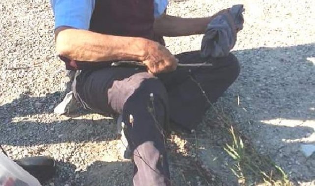 Köpeğe cinsel saldırı sanığına 5 ay hapis ve 600 TL ceza
