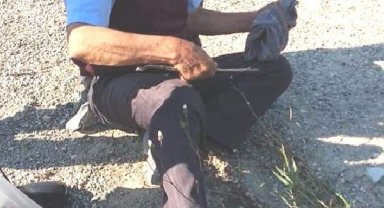 Köpeğe cinsel saldırı sanığına 5 ay hapis ve 600 TL ceza