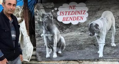 Köpeğinin zehirlenerek öldürülmesine pankartla tepki gösterdi