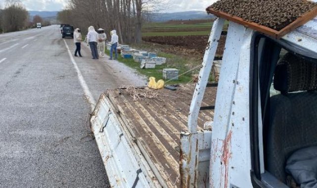 Kovan yüklü kamyonet devrildi; arılar yola saçıldı