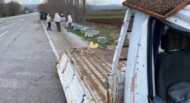 Kovan yüklü kamyonet devrildi; arılar yola saçıldı