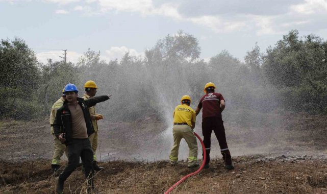 Köyceğiz ve Dalaman Orman İşletme Müdürlüklerinde işbaşı eğitimi düzenlendi