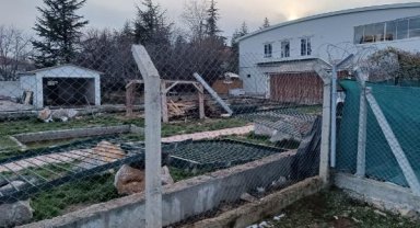 Mahalle arasındaki hayvanat bahçesi yıkıldı