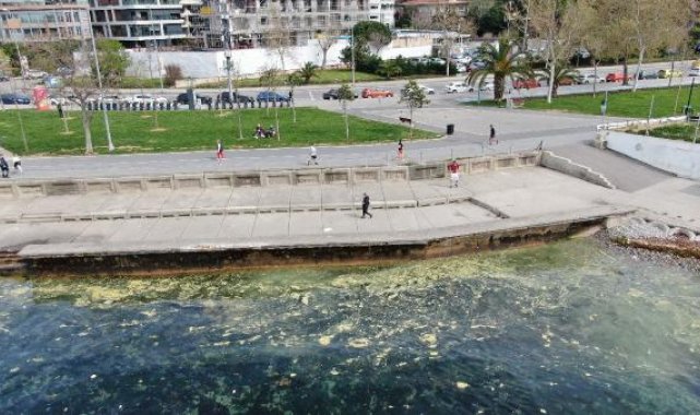 Marmara'da endişelendiren görüntü