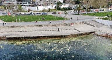 Marmara'da endişelendiren görüntü