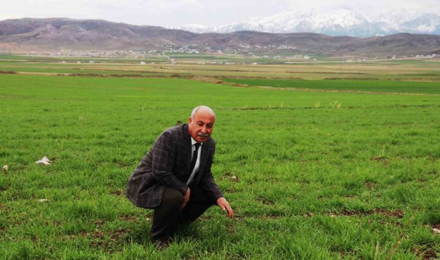 Mart-nisan yağmurları çiftçinin yüzünü güldürdü