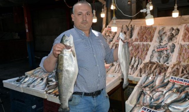 Mersin'de av yasağıyla günlük balık çeşidi 15'e düştü ancak fiyatlar artmadı