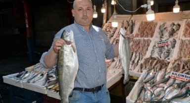 Mersin'de av yasağıyla günlük balık çeşidi 15'e düştü ancak fiyatlar artmadı