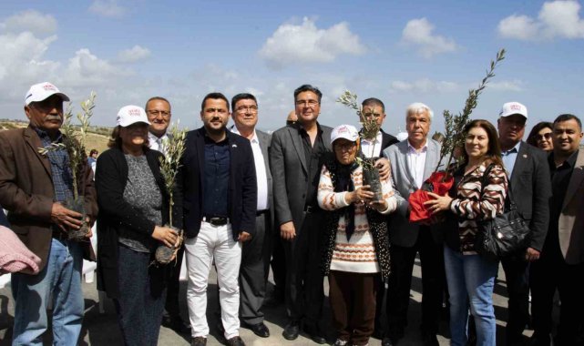 Mersin'de üreticilere 11 bin 100 adet zeytin fidanı desteği sağlandı