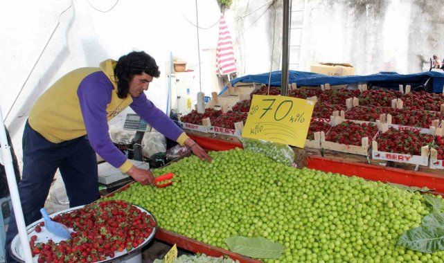 Mevsimin vazgeçilmezi erik, tezgahta 70 liradan satılıyor