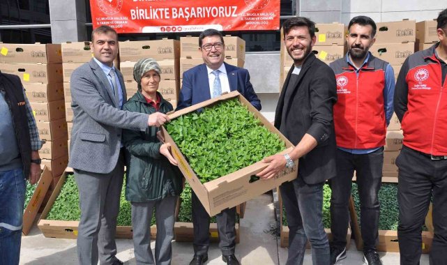 Muğla'da 450 üreticiye 800 bin yerli fide dağıtıldı