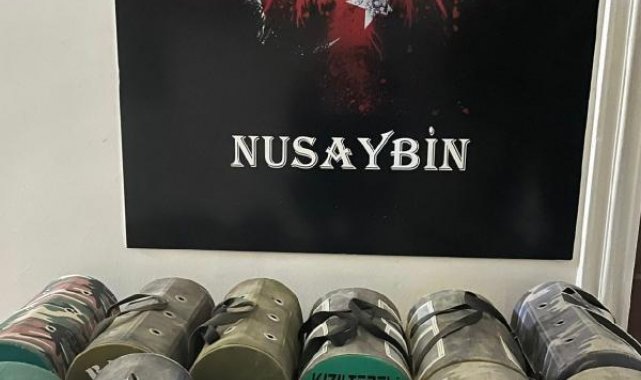 Nusaybin'de horoz dövüştüren 38 kişiye 154 bin lira ceza