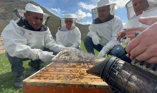 Ordu'da arıcılara ilaç desteği