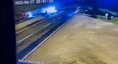 Otomobil yola çıkan mandalara çarptı; sürücü yaralandı