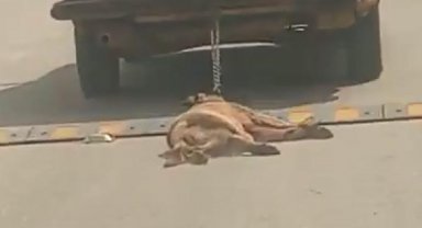 Otomobilin arkasına bağladığı köpeği sürükleyerek öldürdü; o anlar kamerada