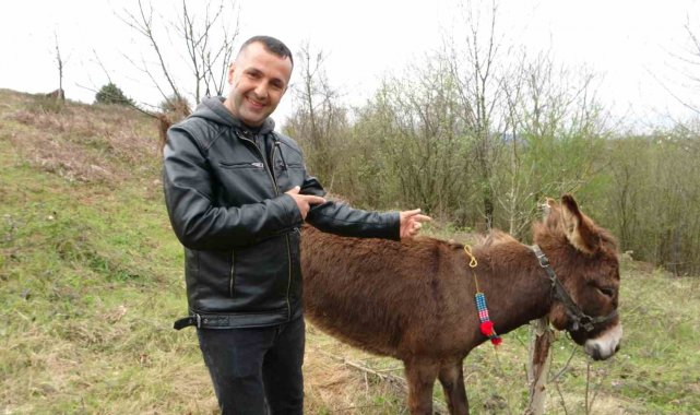 Pendik'te, internetten 7 bin 500 TL'ye satışa çıkarılan eşek ilgi odağı oldu