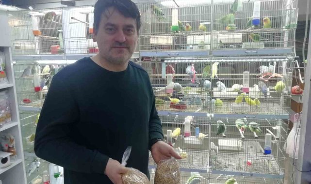 Petshopçuların Oda talebi